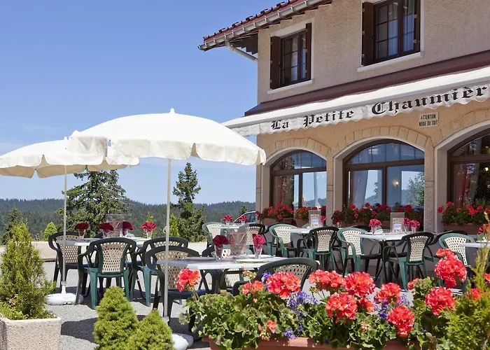 Hotel Logis La Petite Chaumiere Gex